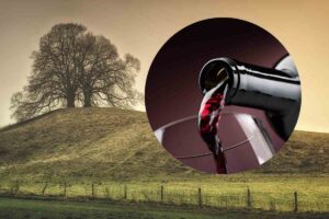 collina e vino in un bicchiere