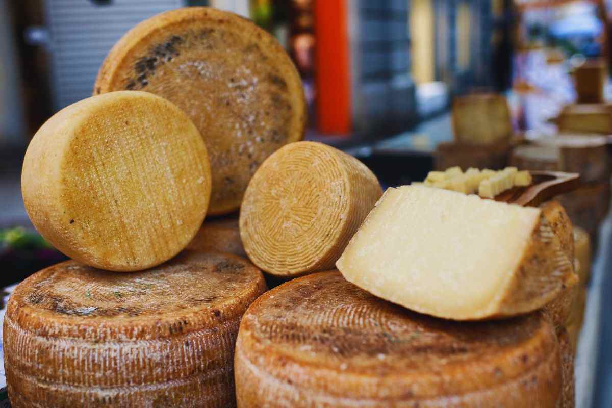 forme di formaggio