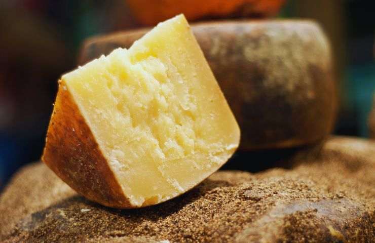 pecorino