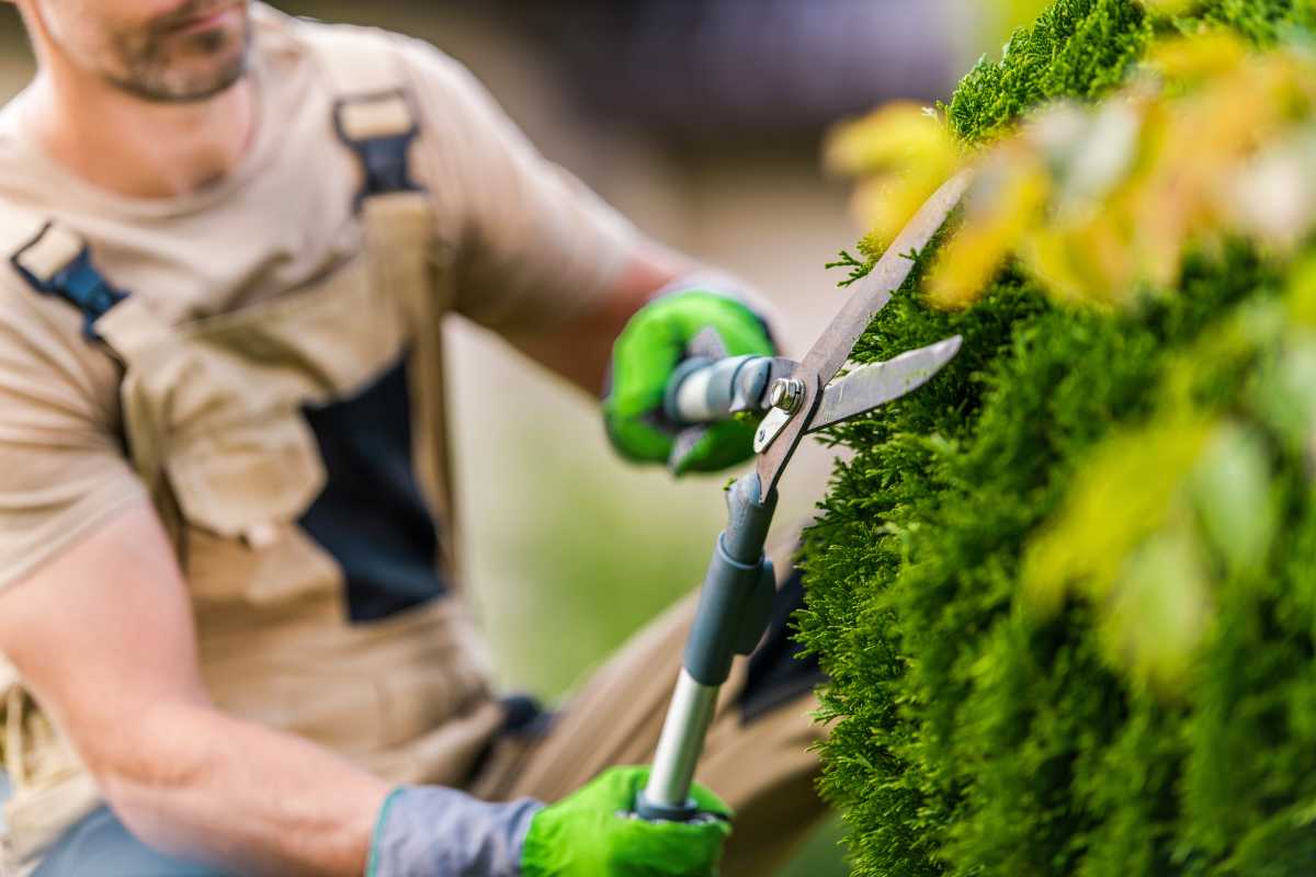 giardiniere che pota una pianta