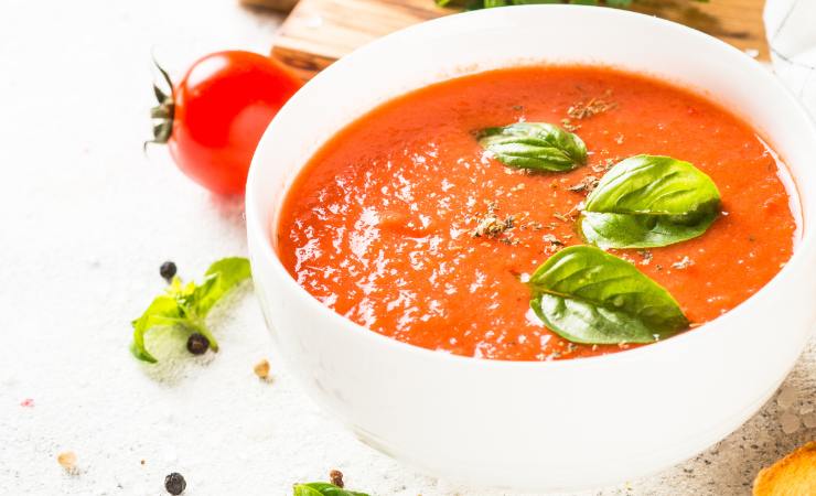 scodella di pappa al pomodoro con basilico